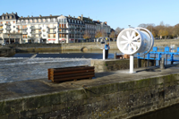 turbolienne